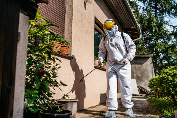 Best Cockroach Control Services  in Urbana, IA