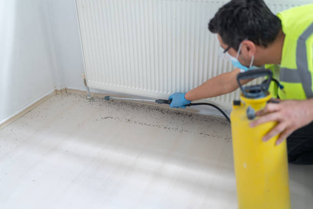 Best Pest Control for Businesses  in Urbana, IA