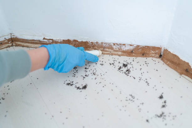 Best Residential Pest Control  in Urbana, IA