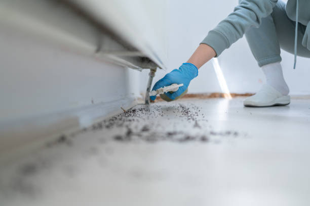 Best Pest Prevention Services  in Urbana, IA